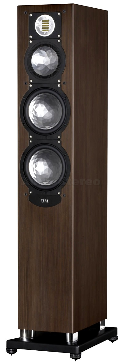 ELAC FS 249 mocha veneer